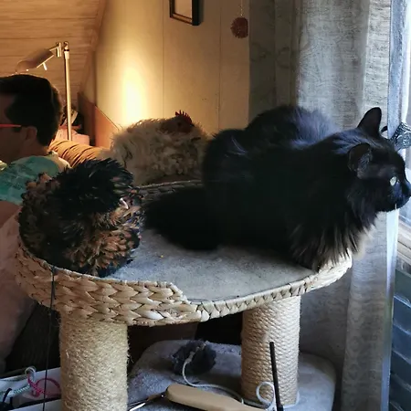 Wohnen Im Ampertal In Grafrath