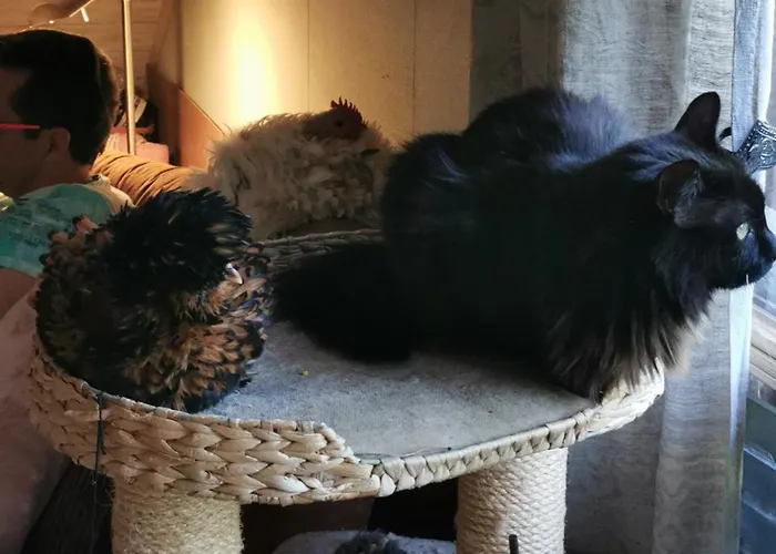 Wohnen Im Ampertal In Grafrath