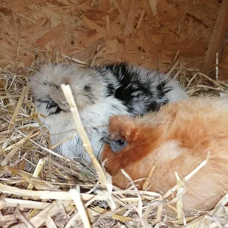 Wohnen Im Ampertal In Grafrath Gräfrath