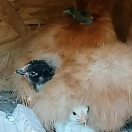 Wohnen Im Ampertal In Grafrath *