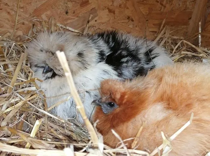 Wohnen Im Ampertal In Grafrath Gräfrath